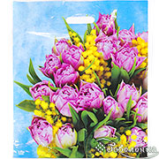 Подарочный весенний целлофановый пакет Тюльпаны и мимоза 37х44 см